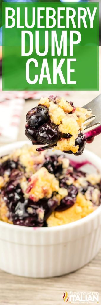 Blueberry Dump Cake + Video - The Slow Roasted Italian