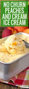 No Churn Peach Ice Cream + Video - The Slow Roasted Italian