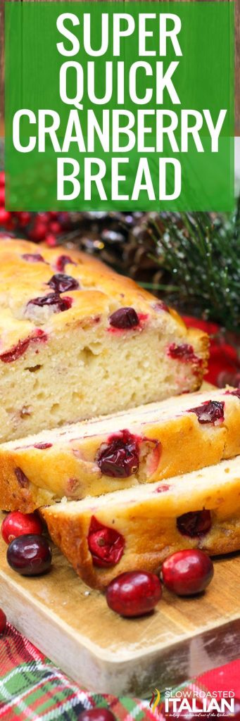 Super Quick Cranberry Orange Bread - The Slow Roasted Italian