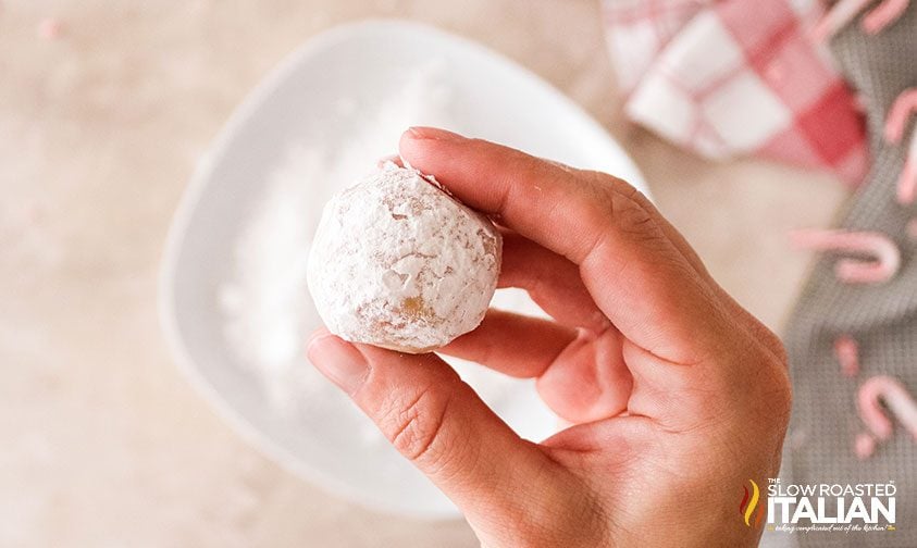 holding peppermint sugar cookie dough ball coated in powdered sugar