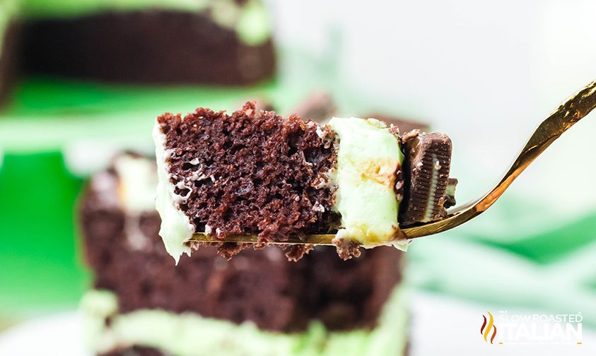 forkful of chocolate mint cake with slice in the background