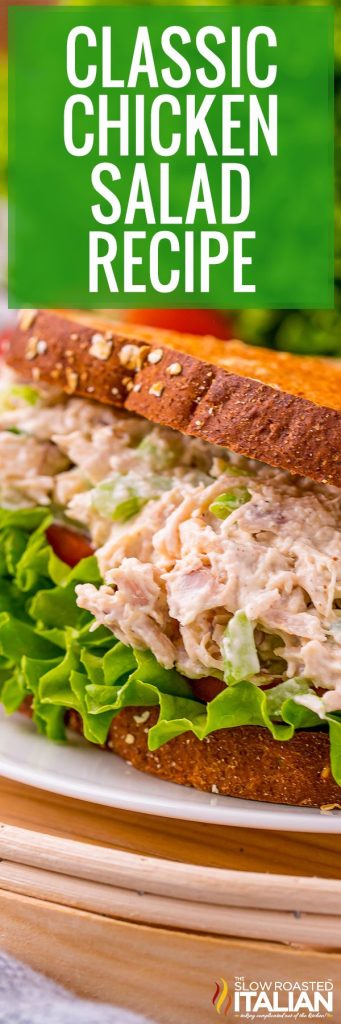 Rotisserie Chicken Salad Recipe - The Slow Roasted Italian