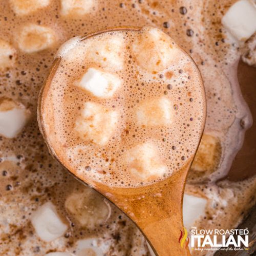 https://www.theslowroasteditalian.com/wp-content/uploads/2021/10/Slow-Cooker-Hot-Chocolate-SQUARE-500x500.jpg