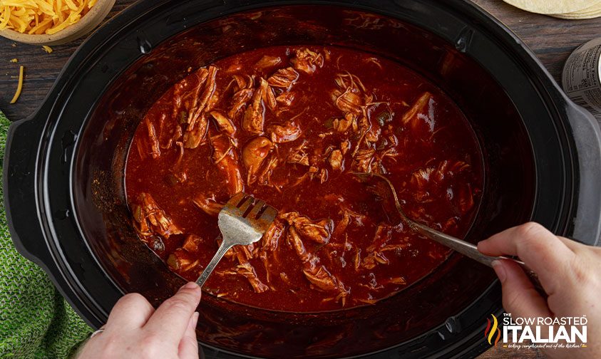 shredded chicken with red enchilada sauce in slow cooker