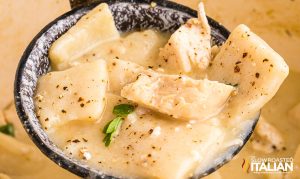 Cracker Barrel Chicken And Dumplings + Video - TSRI