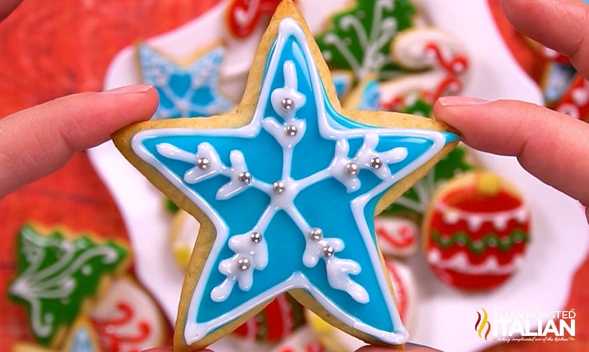 decorated sugar cookie.