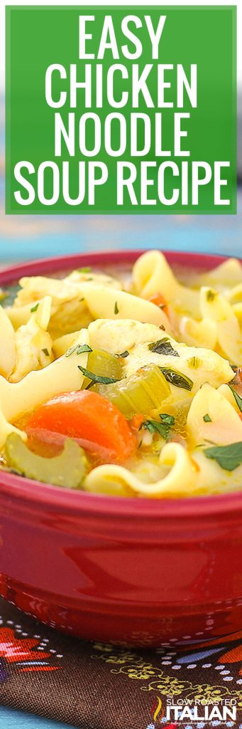 Homemade Chicken Noodle Soup + Video - The Slow Roasted Italian