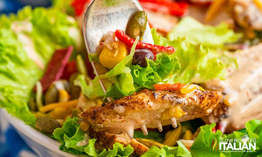 grilled chicken and salad on a fork