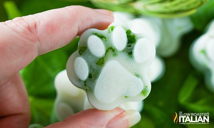 close up: holding a frozen spinach and rosemary dog treat in the shape of a paw print