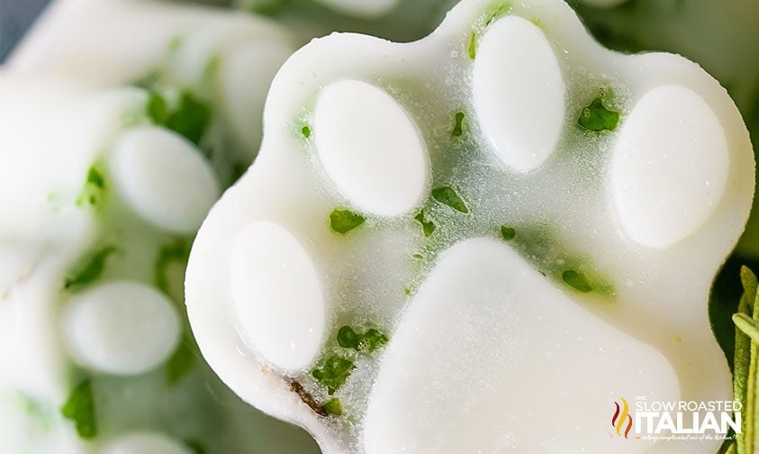 closeup: coconut oil dog treat with spinach and rosemary