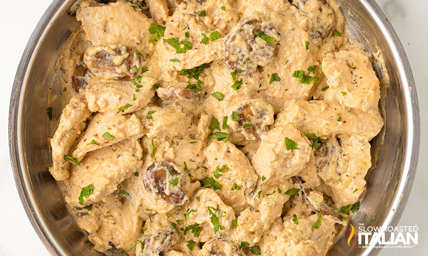 closeup of cream of mushroom chicken