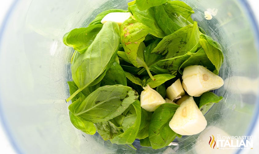 adding ingredients for pesto to the blender