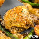 closeup of lemon sheet pan chicken