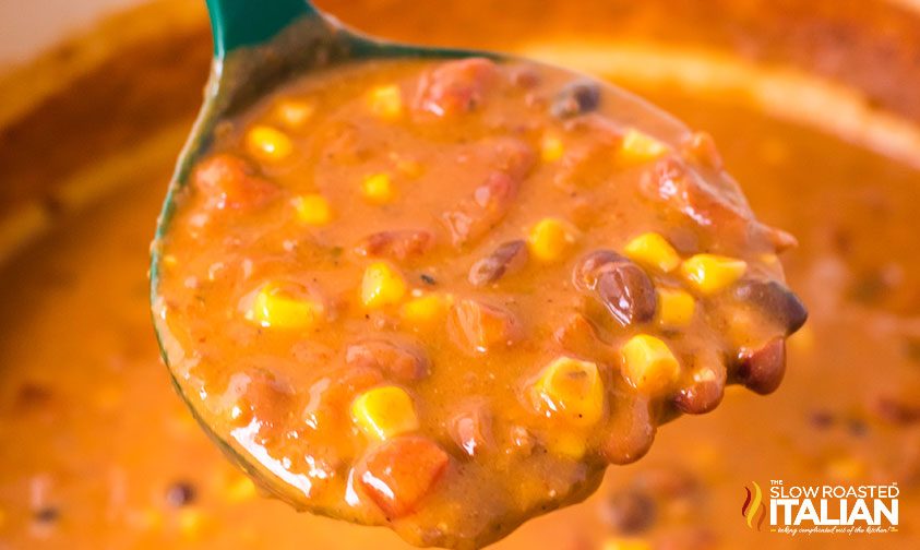 closeup: ladle full of taco soup