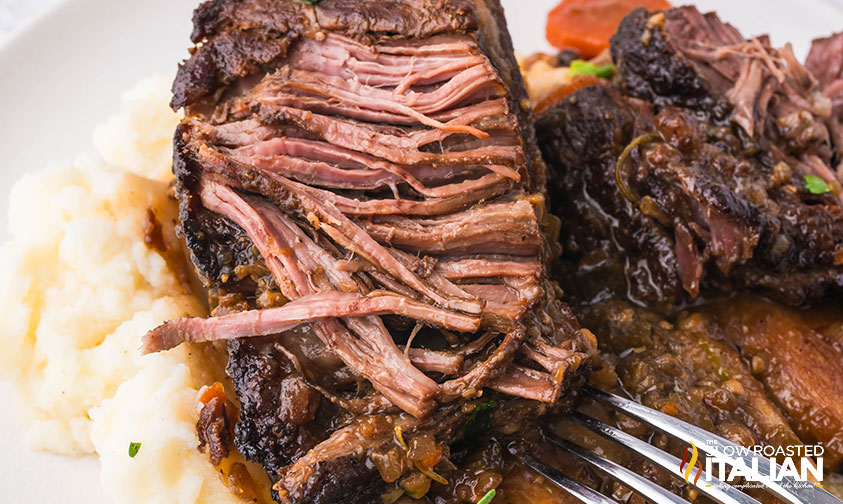 pulling apart beer braised short ribs with a fork