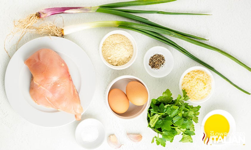 ingredients for chicken fritters recipe