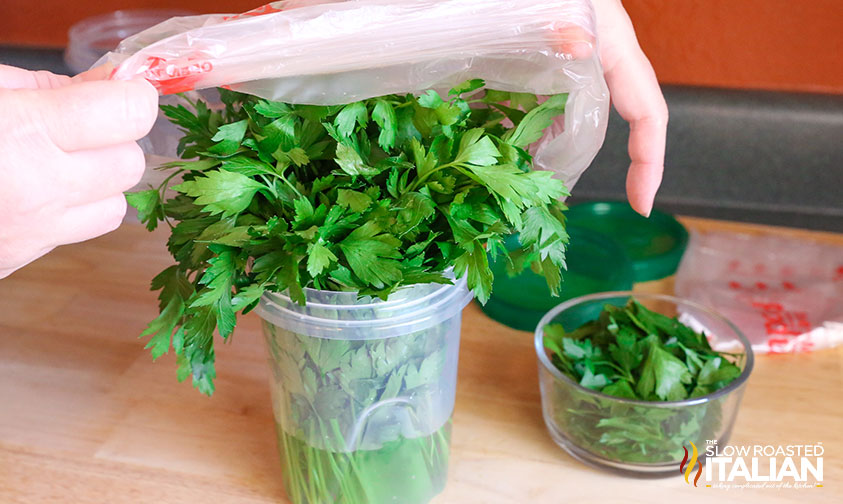 adding fresh herbs to a jar of water