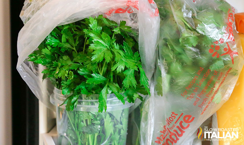 fresh herbs in a jar of water