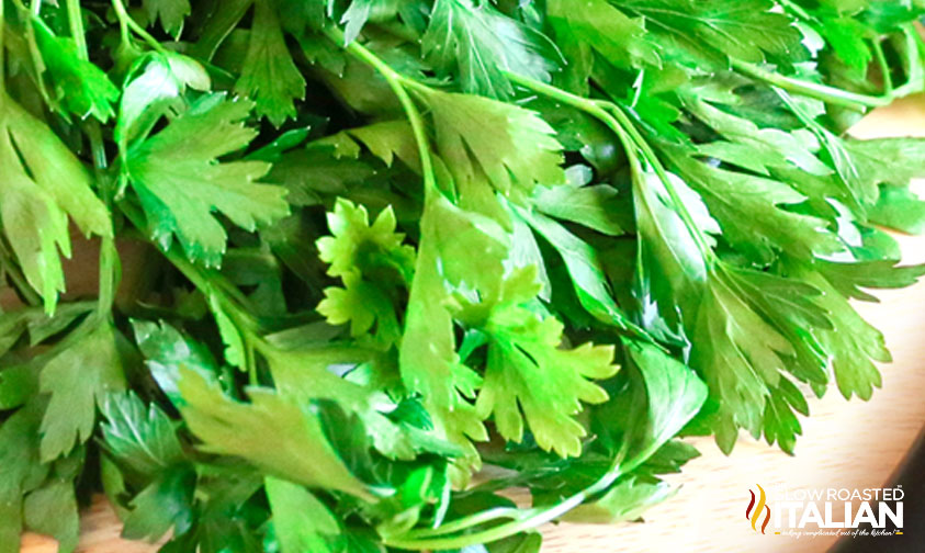 closeup of fresh herbs