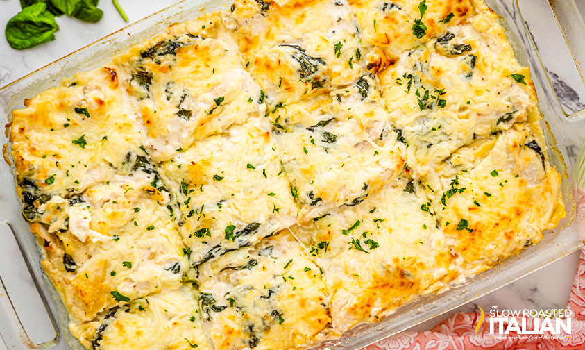 sliced chicken alfredo lasagna in baking dish