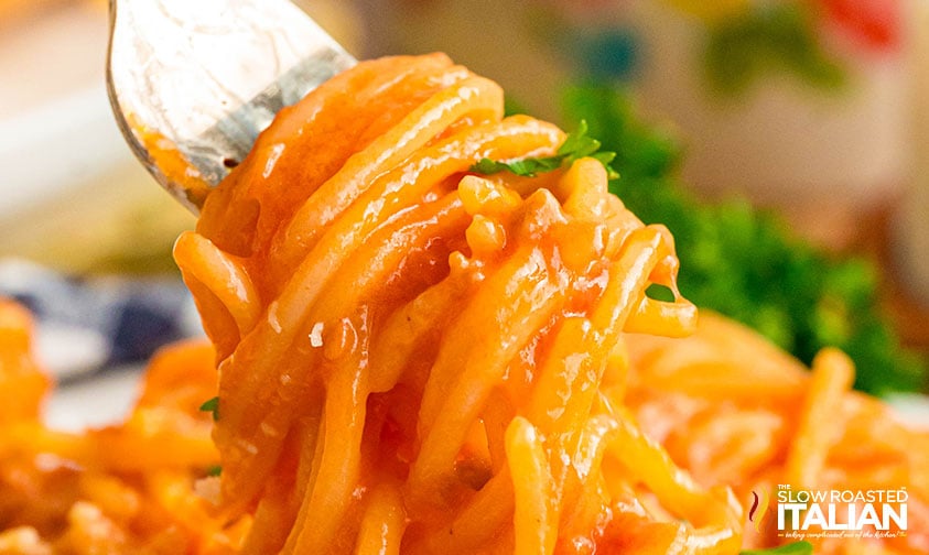 closeup of creamy spaghetti twirled around a fork