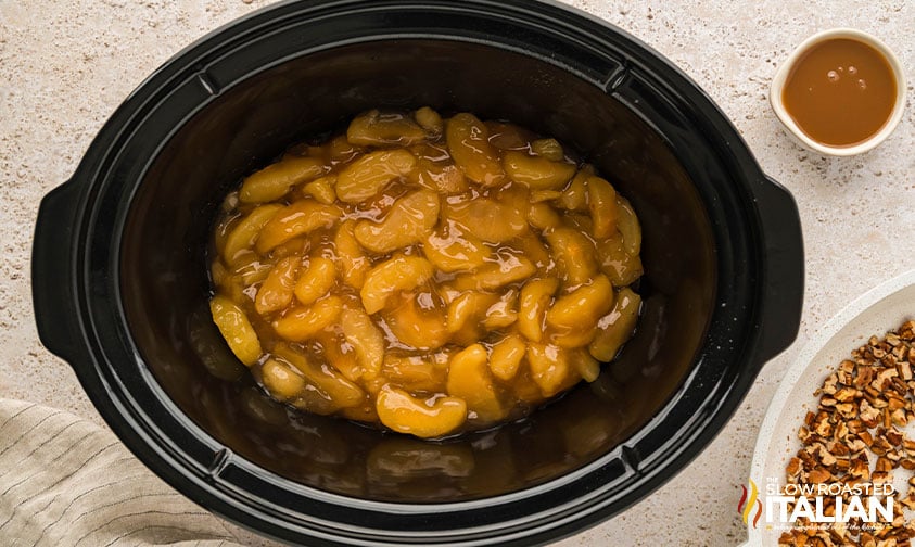 apple pie filling in a crockpot