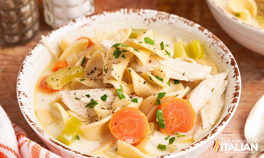 bowl of crockpot creamy chicken noodle soup