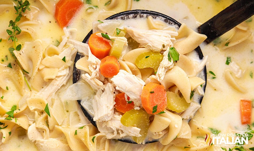 crockpot creamy chicken noodle soup on a ladle