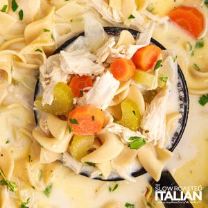 closeup of crockpot creamy chicken noodle soup