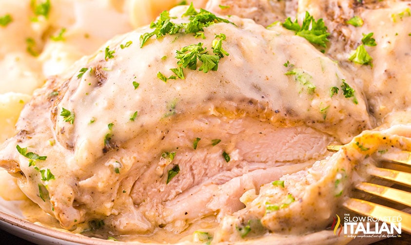 closeup of smothered chicken on a plate