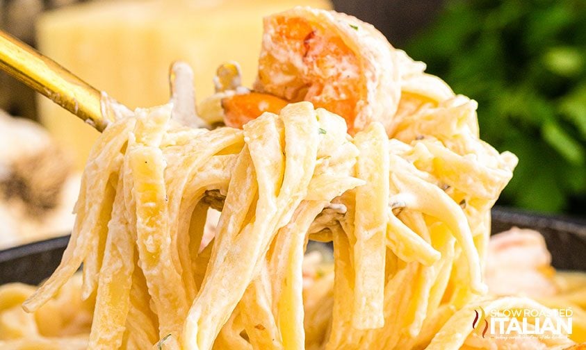 close up: forkful of creamy shrimp fettuccine alfredo