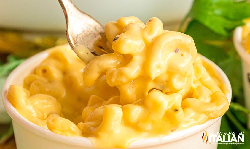 closeup of 4 cheese mac and cheese