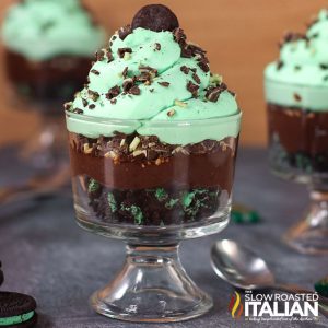 closeup of chocolate mint dessert