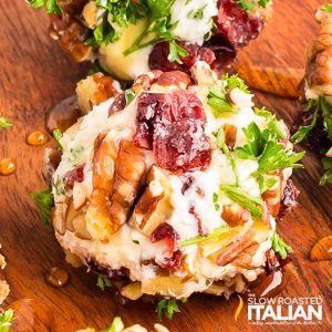 closeup of goat cheese balls